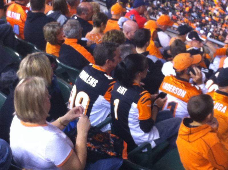 Illustration for article titled Another Raccoon Runs Wild In Stands During Bengals Game